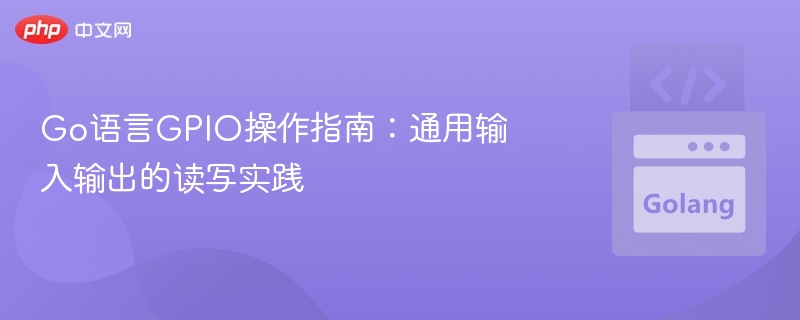 Go语言GPIO操作指南：通用输入输出的读写实践
