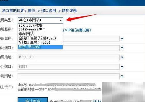 花生壳内网映射新方案详解