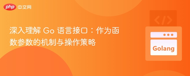 Go语言接口作为参数的使用技巧