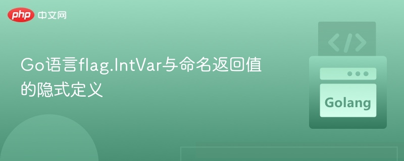 Go语言flag.IntVar与命名返回值使用详解