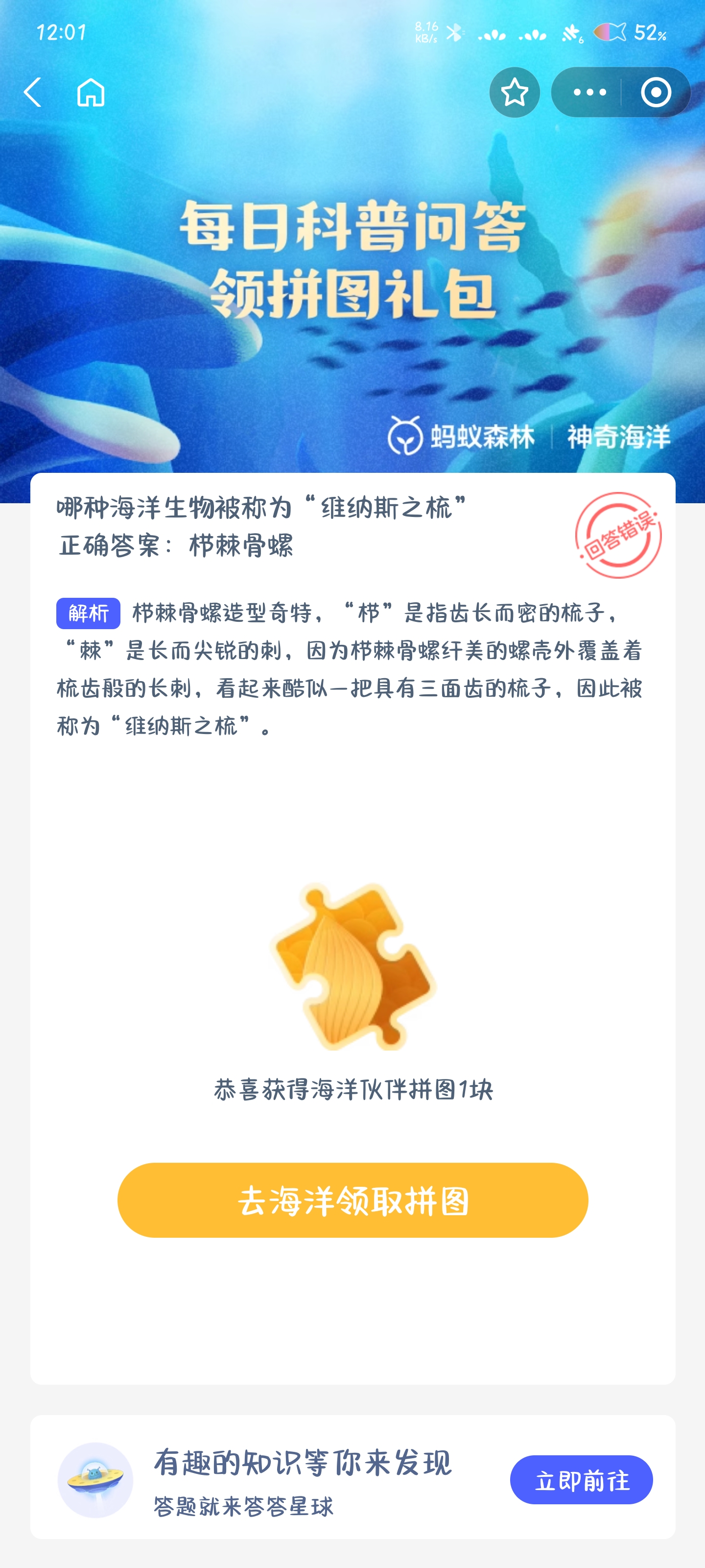 维纳斯之梳是哪种海洋生物？