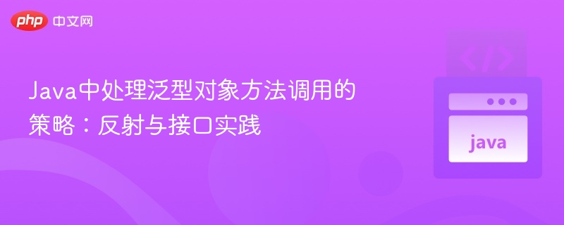 Java中处理泛型对象方法调用的策略:反射与接口实践