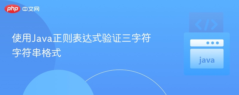 使用Java正则表达式验证三字符字符串格式