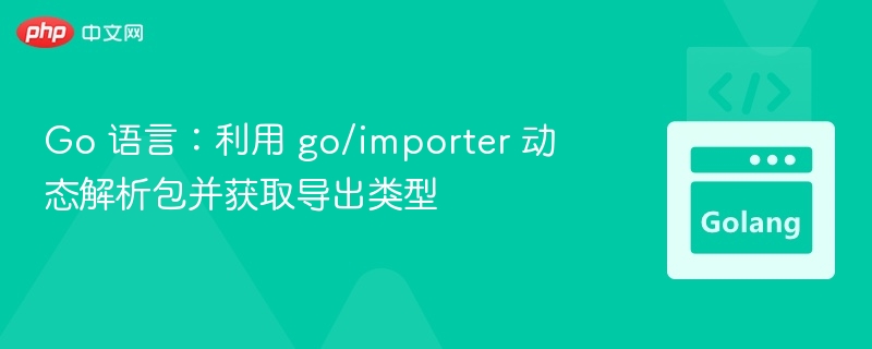 Go 语言：利用 go/importer 动态解析包并获取导出类型
