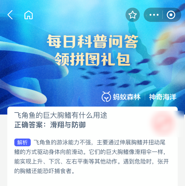 飞角鱼大胸鳍有何用途？