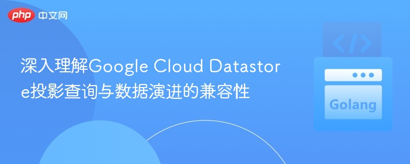 GoogleCloudDatastore投影查询与数据演进兼容性分析