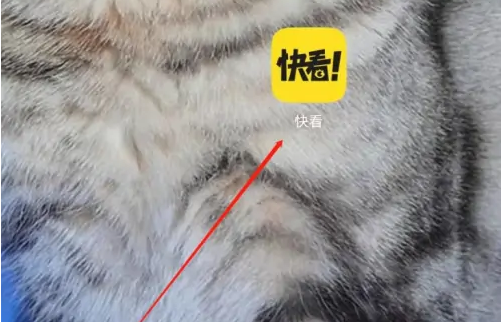 《快看漫画》看视频方法