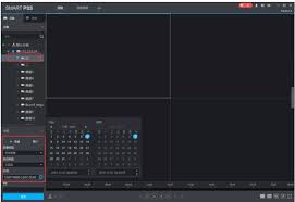 SmartPSS回放设置全攻略