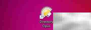 Directory Opus按钮间距设置