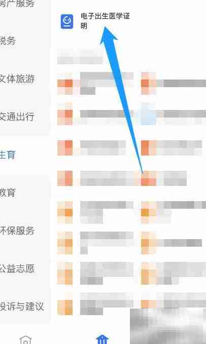 如何查看电子出生医学证明
