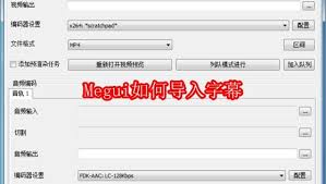 Megui添加字幕详细教程