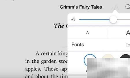 iPad图书软件使用技巧大全