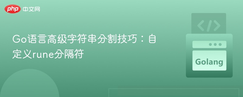 Go语言高级字符串分割技巧：自定义rune分隔符
