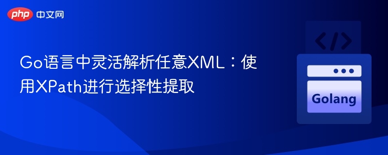 Go语言中灵活解析任意XML：使用XPath进行选择性提取
