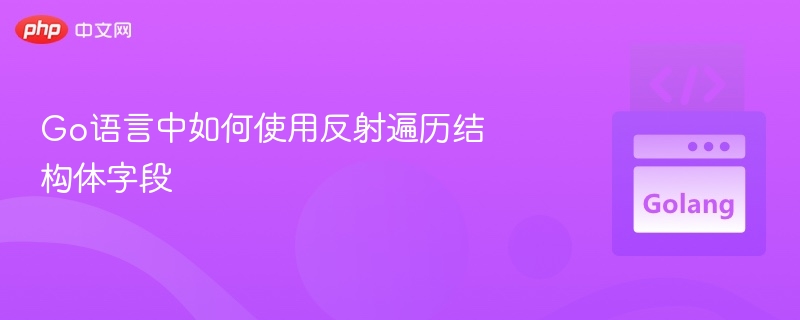 Go反射遍历结构体字段全解析