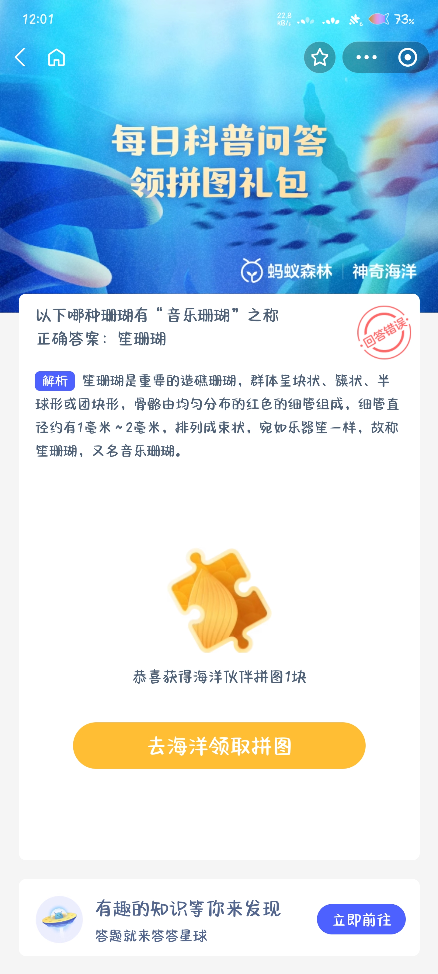 音乐珊瑚是什么？揭秘会“唱歌”的珊瑚种类