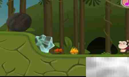 Evil Penguin Level-6通关攻略