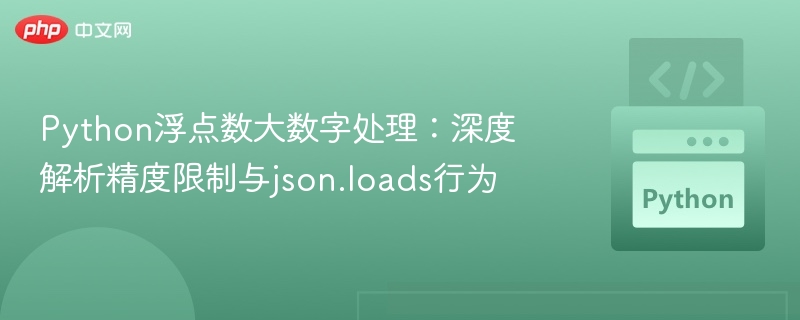 Python浮点数大数字处理：深度解析精度限制与json.loads行为
