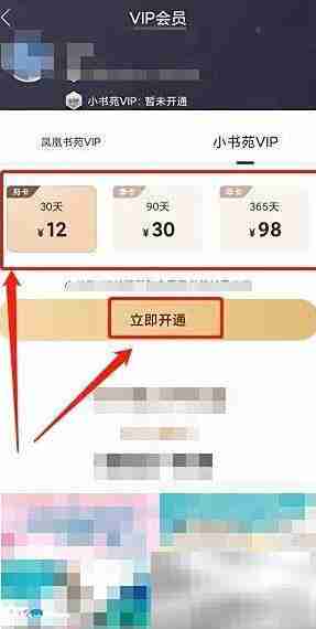 凤凰书苑VIP开通指南