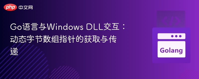Go语言与Windows DLL交互：动态字节数组指针的获取与传递