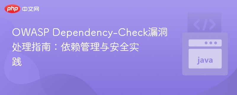 OWASP Dependency-Check漏洞处理指南：依赖管理与安全实践
