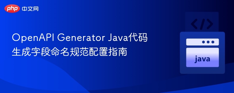 JavaOpenAPI字段命名配置全攻略