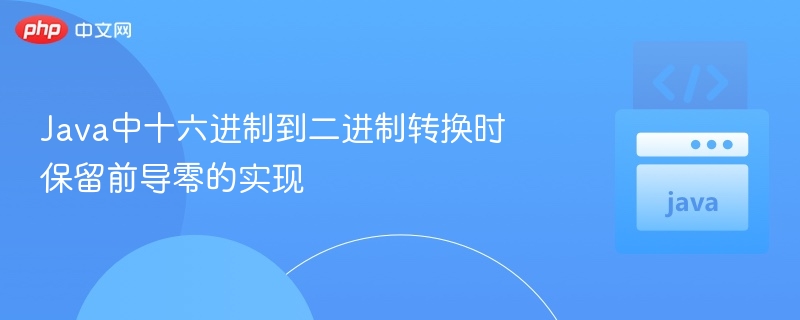 Java十六进制转二进制保留零方法