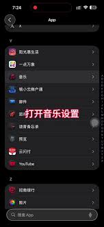iPhone17灵动岛设置全攻略