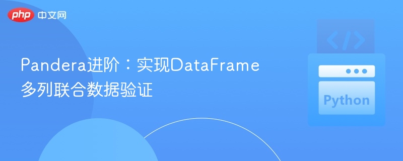 Pandera多列校验：DataFrame数据验证教程