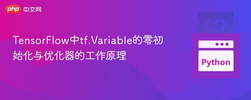 TF变量零初始化与优化器关系解析