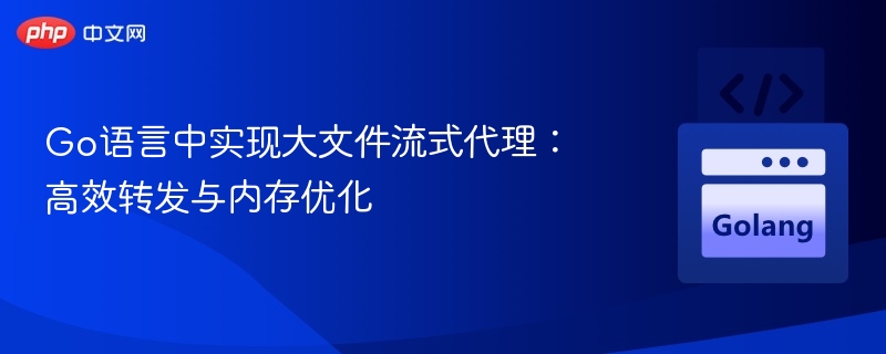 Go语言中实现大文件流式代理：高效转发与内存优化

