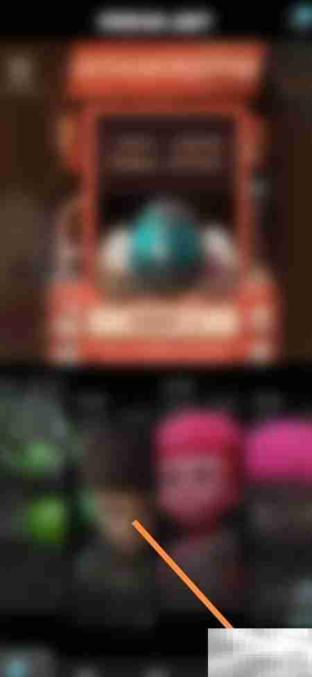 非凡宠物购宠指南