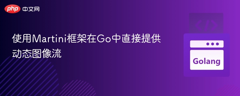使用Martini框架在Go中直接提供动态图像流

