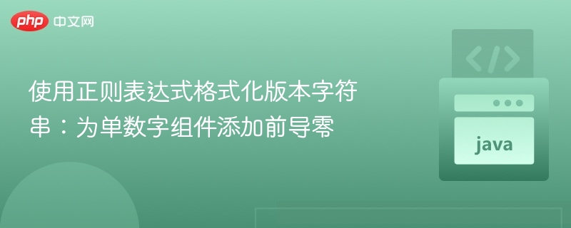 使用正则表达式格式化版本字符串:为单数字组件添加前导零