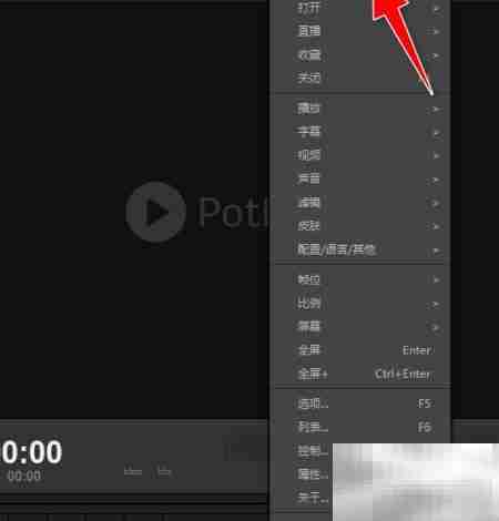 PotPlayer视频左右镜像教程