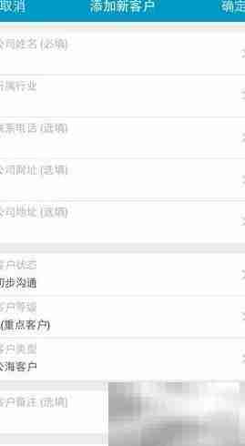 公司客户管理策略解析