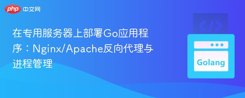 在专用服务器上部署Go应用程序:Nginx/Apache反向代理与进程管理