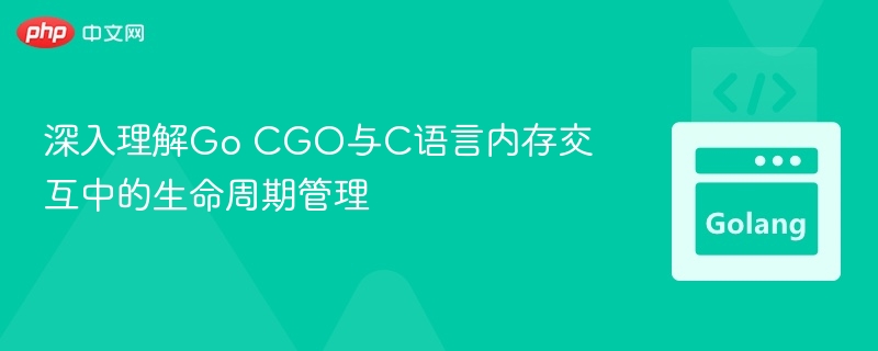 深入理解Go CGO与C语言内存交互中的生命周期管理
