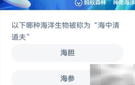 海中清道夫是什么鱼？