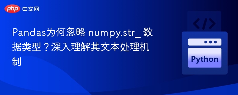 Pandas为何忽略 numpy.str_ 数据类型？深入理解其文本处理机制
