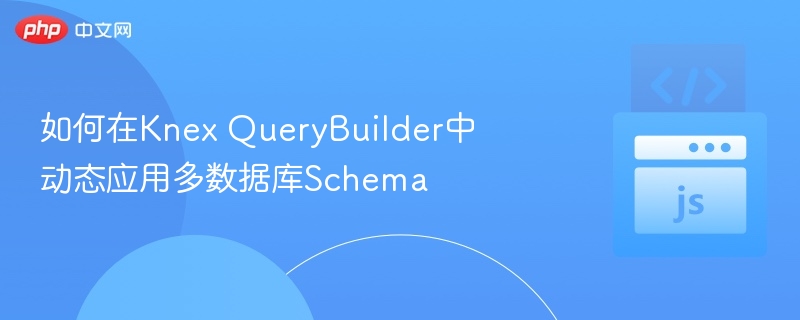 如何在Knex QueryBuilder中动态应用多数据库Schema