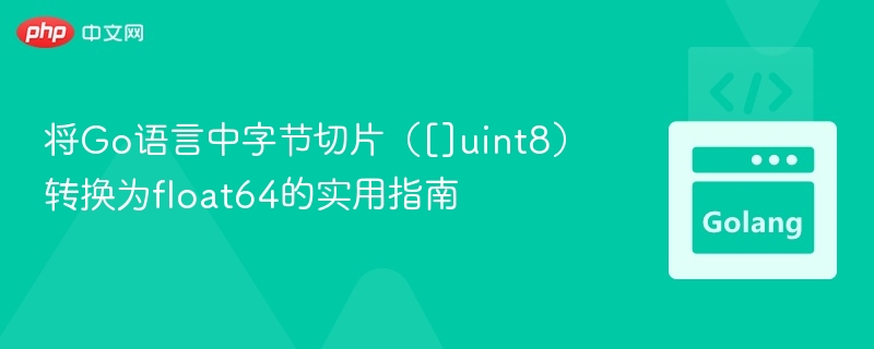 将Go语言中字节切片（[]uint8）转换为float64的实用指南
