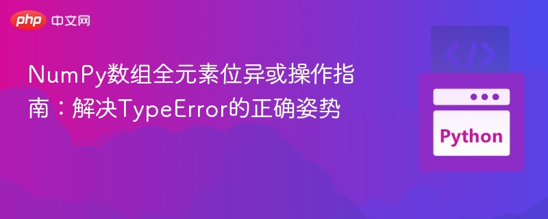 NumPy位异或操作错误解决方法