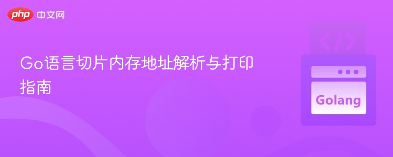 Go语言切片内存地址解析与打印指南

