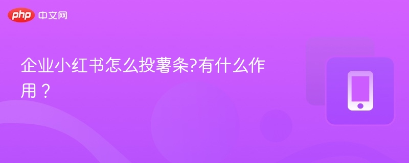 小红书投薯条怎么操作？效果如何？