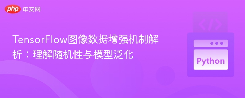 TensorFlow图像数据增强机制解析:理解随机性与模型泛化