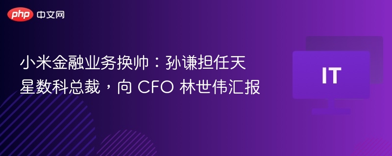 小米金融业务换帅：孙谦担任天星数科总裁，向 CFO 林世伟汇报