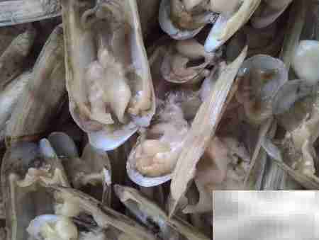 蒜末拇指蛤汤：鲜香开胃