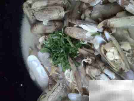 蒜末拇指蛤汤：鲜香开胃