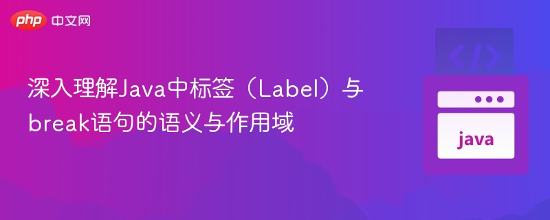 深入理解Java中标签（Label）与break语句的语义与作用域
